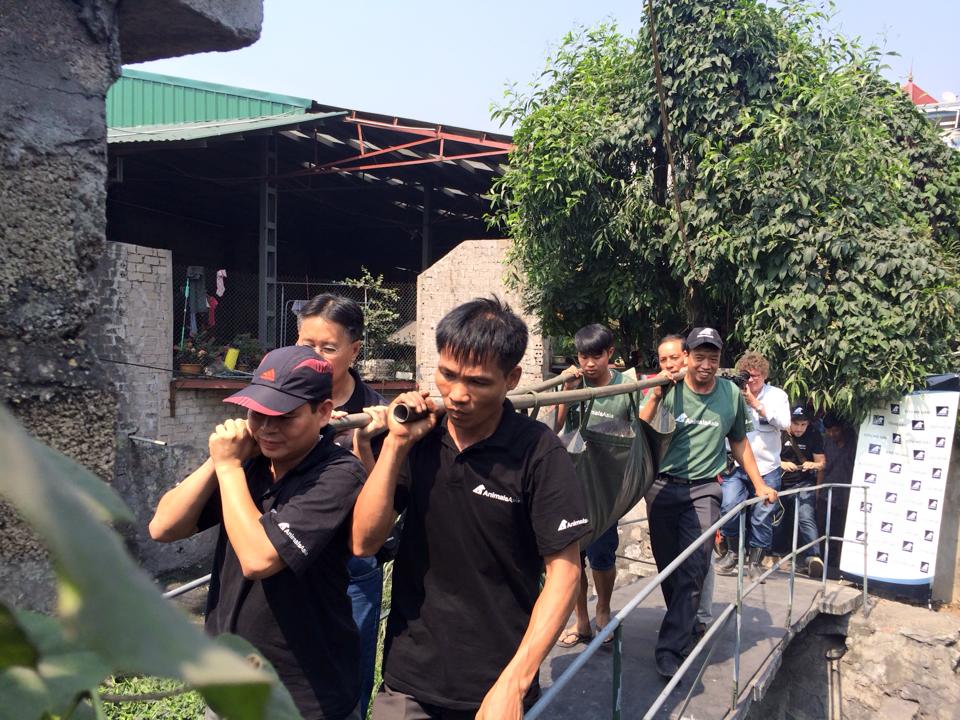 Cứu[-]hộ[-]8[-]cá[-]thể[-]gấu[-]áp[-]chót,[-]chấm[-]dứt[-]việc[-]nuôi[-]nhốt[-]gấu[-]thương[-]mại[-]tại[-]Quảng[-]Ninh